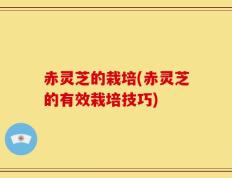 赤灵芝的栽培(赤灵芝的有效栽培技巧)