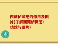 西藏栌灵芝的作用及图片(了解西藏栌灵芝：功效与图片)