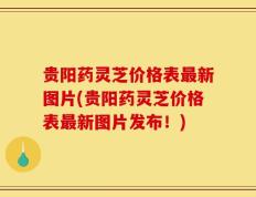 贵阳药灵芝价格表最新图片(贵阳药灵芝价格表最新图片发布！)