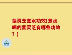 紫灵芝煮水功效(煮水喝的紫灵芝有哪些功效？)