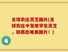 足球农庄灵芝图片(足球农庄中发现罕见灵芝，拍摄出唯美图片！)
