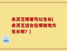 赤灵芝哪里可以生长(赤灵芝适合在哪些地方生长呢？)