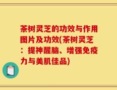 茶树灵芝的功效与作用图片及功效(茶树灵芝：提神醒脑、增强免疫力与美肌佳品)
