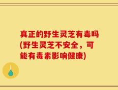 真正的野生灵芝有毒吗(野生灵芝不安全，可能有毒素影响健康)