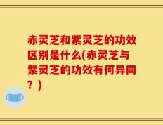 赤灵芝和紫灵芝的功效区别是什么(赤灵芝与紫灵芝的功效有何异同？)