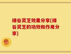 绿谷灵芝效果分享(绿谷灵芝的功效和作用分享)