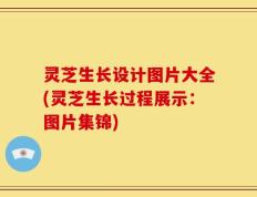 灵芝生长设计图片大全(灵芝生长过程展示：图片集锦)