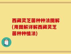 西藏灵芝菌种种法图解(用图解详解西藏灵芝菌种种植法)