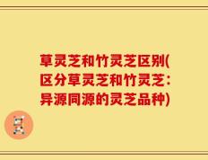 草灵芝和竹灵芝区别(区分草灵芝和竹灵芝：异源同源的灵芝品种)