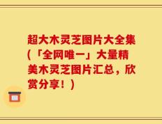 超大木灵芝图片大全集(「全网唯一」大量精美木灵芝图片汇总，欣赏分享！)