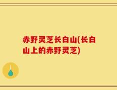 赤野灵芝长白山(长白山上的赤野灵芝)