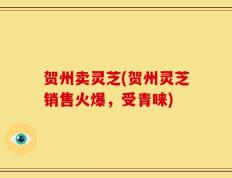 贺州卖灵芝(贺州灵芝销售火爆，受青睐)
