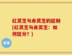 红灵芝与赤灵芝的区别(红灵芝与赤灵芝：如何区分？)