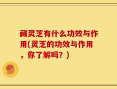 藏灵芝有什么功效与作用(灵芝的功效与作用，你了解吗？)