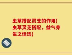 虫草搭配灵芝的作用(虫草灵芝搭配，益气养生之佳选)