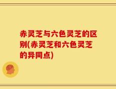 赤灵芝与六色灵芝的区别(赤灵芝和六色灵芝的异同点)