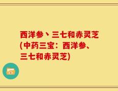 西洋参丶三七和赤灵芝(中药三宝：西洋参、三七和赤灵芝)