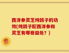 西洋参灵芝炖鸽子的功效(炖鸽子配西洋参和灵芝有哪些益处？)