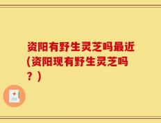 资阳有野生灵芝吗最近(资阳现有野生灵芝吗？)