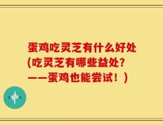 蛋鸡吃灵芝有什么好处(吃灵芝有哪些益处？——蛋鸡也能尝试！)