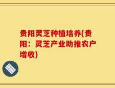 贵阳灵芝种植培养(贵阳：灵芝产业助推农户增收)