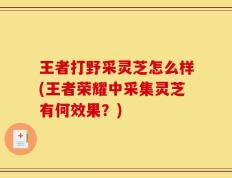 王者打野采灵芝怎么样(王者荣耀中采集灵芝有何效果？)