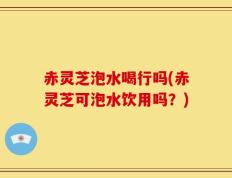 赤灵芝泡水喝行吗(赤灵芝可泡水饮用吗？)