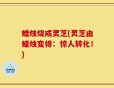 蜡烛烧成灵芝(灵芝由蜡烛变得：惊人转化！)