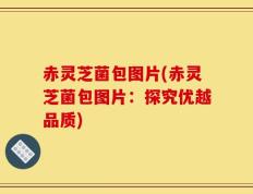 赤灵芝菌包图片(赤灵芝菌包图片：探究优越品质)