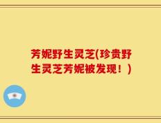 芳妮野生灵芝(珍贵野生灵芝芳妮被发现！)