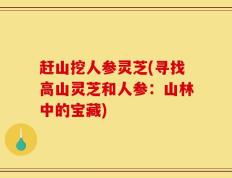 赶山挖人参灵芝(寻找高山灵芝和人参：山林中的宝藏)