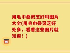 用毛巾叠灵芝好吗图片大全(用毛巾叠灵芝好处多，看看这些图片就知道！)