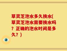 草灵芝泡水多久换水(草灵芝泡水需要换水吗？正确的泡水时间是多久？)