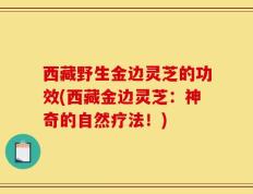 西藏野生金边灵芝的功效(西藏金边灵芝：神奇的自然疗法！)