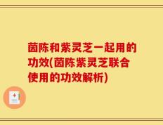 茵陈和紫灵芝一起用的功效(茵陈紫灵芝联合使用的功效解析)