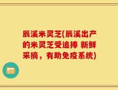 辰溪米灵芝(辰溪出产的米灵芝受追捧 新鲜采摘，有助免疫系统)