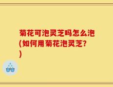 菊花可泡灵芝吗怎么泡(如何用菊花泡灵芝？)