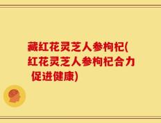 藏红花灵芝人参枸杞(红花灵芝人参枸杞合力 促进健康)