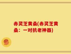 赤灵芝黄桑(赤灵芝黄桑：一对抗老神器)