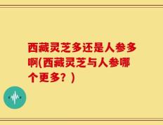 西藏灵芝多还是人参多啊(西藏灵芝与人参哪个更多？)