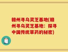 赣州寻乌灵芝基地(赣州寻乌灵芝基地：探寻中国传统草药的秘密)