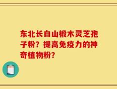 东北长白山椴木灵芝孢子粉？提高免疫力的神奇植物粉？