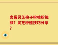 套袋灵芝孢子粉喷粉视频？灵芝种植技巧分享？