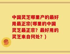 中国灵芝哪里产的最好用最正宗(哪里的中国灵芝最正宗？最好用的灵芝来自何处？)