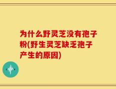 为什么野灵芝没有孢子粉(野生灵芝缺乏孢子产生的原因)