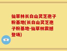 仙草林长白山灵芝孢子粉基地(长白山灵芝孢子粉基地-仙草林震撼登场)
