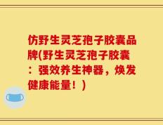 仿野生灵芝孢子胶囊品牌(野生灵芝孢子胶囊：强效养生神器，焕发健康能量！)