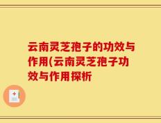 云南灵芝孢子的功效与作用(云南灵芝孢子功效与作用探析