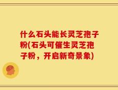 什么石头能长灵芝孢子粉(石头可催生灵芝孢子粉，开启新奇景象)