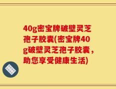 40g密宝牌破壁灵芝孢子胶囊(密宝牌40g破壁灵芝孢子胶囊，助您享受健康生活)